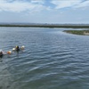 Image 3: Crystal Clear Kayak 2-Hour Guided Tour – Chula Vista Estuary