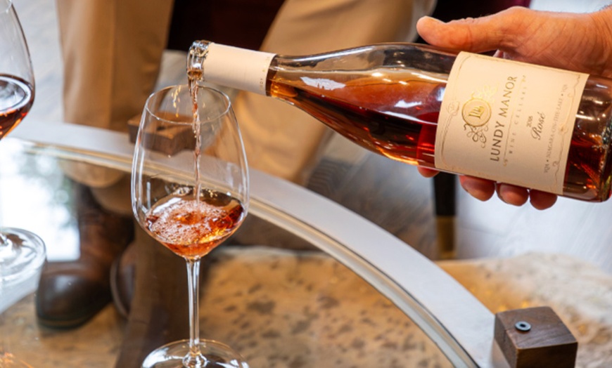 Image 4: Wine Flights, Glasses, Charcuterie & Flatbread Pizza Experience