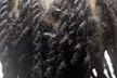 Hair - Retwist w/ Optional Styling Or Hair - Instant Locs w/ Optional Extensions at The Hache (Up to 54% Off) - Second Medium