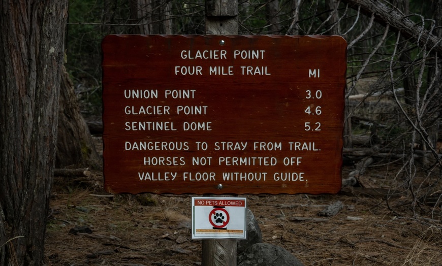 Image 12: ✈ Yosemite: 4-Day Adventure with Air & Hotel from Worldee