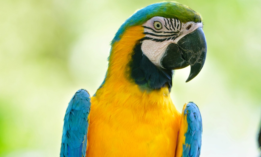 Image 29: Vivre les missions d’un soigneur au Touroparc Zoo