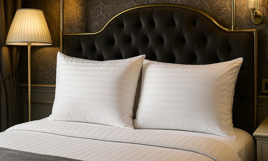 Image 1: Palace Feather Pillows, veren en dons, Sampur