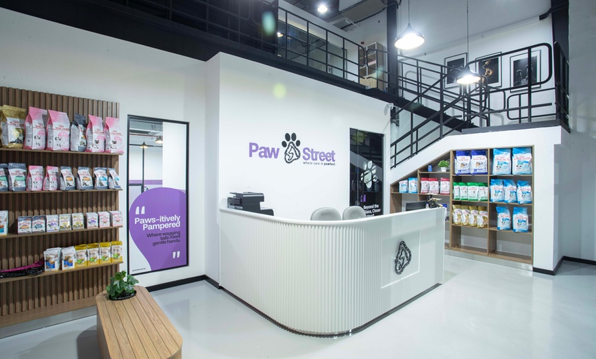 Image 1: Pamper Your Pet Basic or Full Grooming for Small to XL Dogs or Cats