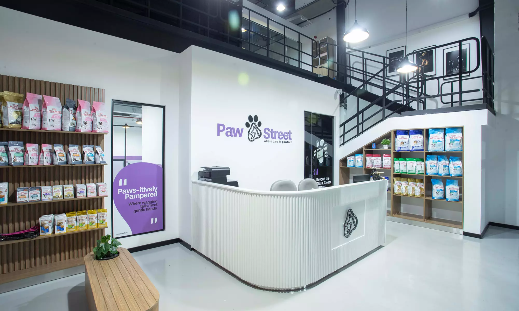 Pamper Your Pet Basic or Full Grooming for Small to XL Dogs/Cats - Nail Clipping, Haircut & More (Up To 63% Off) - Primary Image