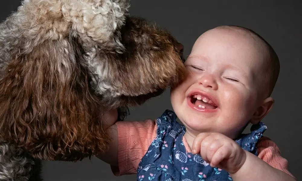 Professional Pet Photoshoot & Fine Art Print to Cherish Your Bond