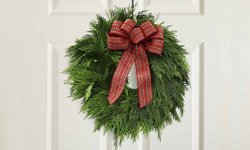Image 5: Christmas Décor & Plant Gifts FTD.com Same-Day Delivery Up to 55% Off