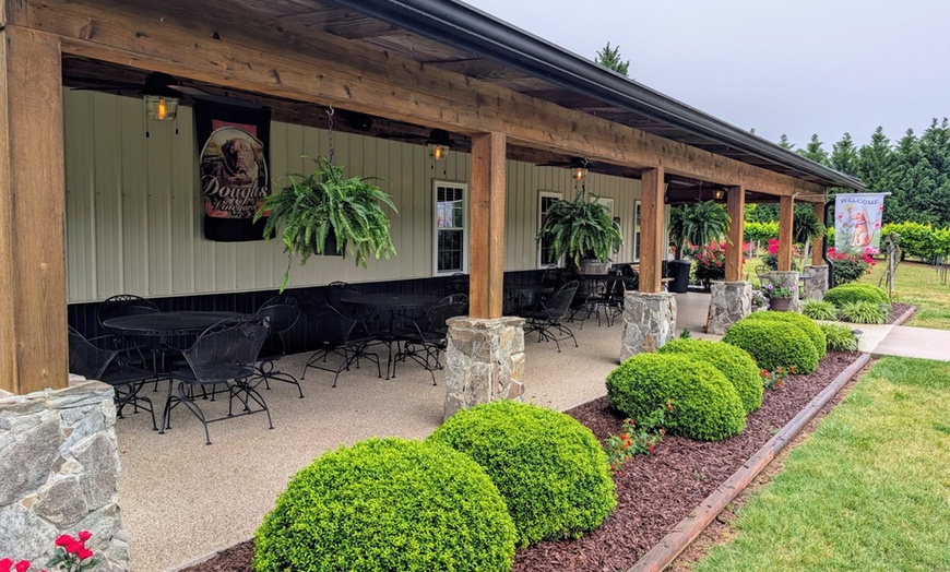 Image 6: Enjoy a Wine Tasting Flight for 1, 2, or 4 People in a Scenic Vineyard