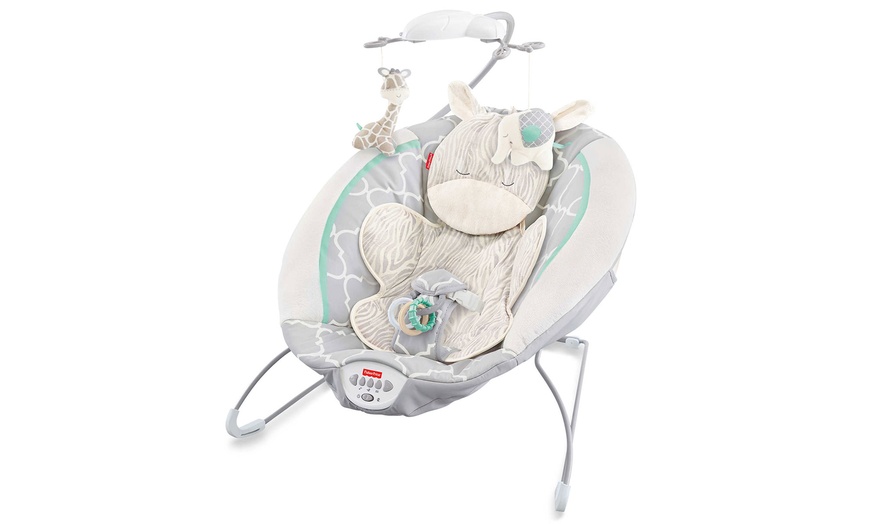 Safari 2024 dreams bouncer