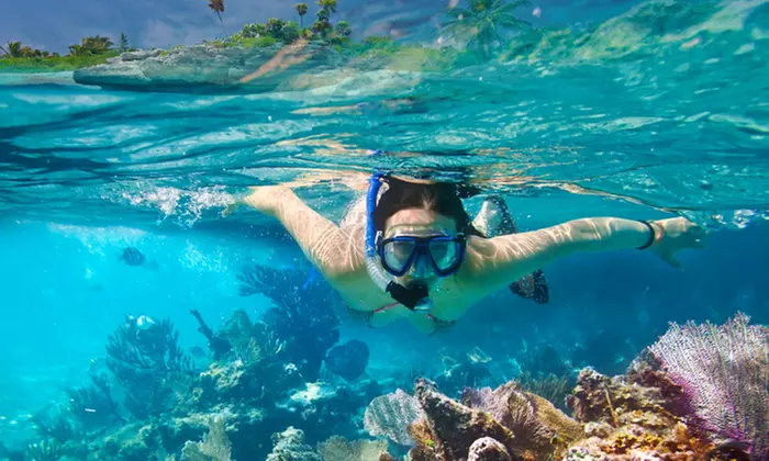 Up to 58% Off on Unforgettable Snorkel Adventure
