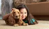 $45 for $100 Worth of Rug and Carpet Cleaning — Like-NU Cleaning Solutions