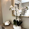 Image 5: 60 or 90-Min Swedish or Deep Tissue Massage or Pamper Me Solo Package