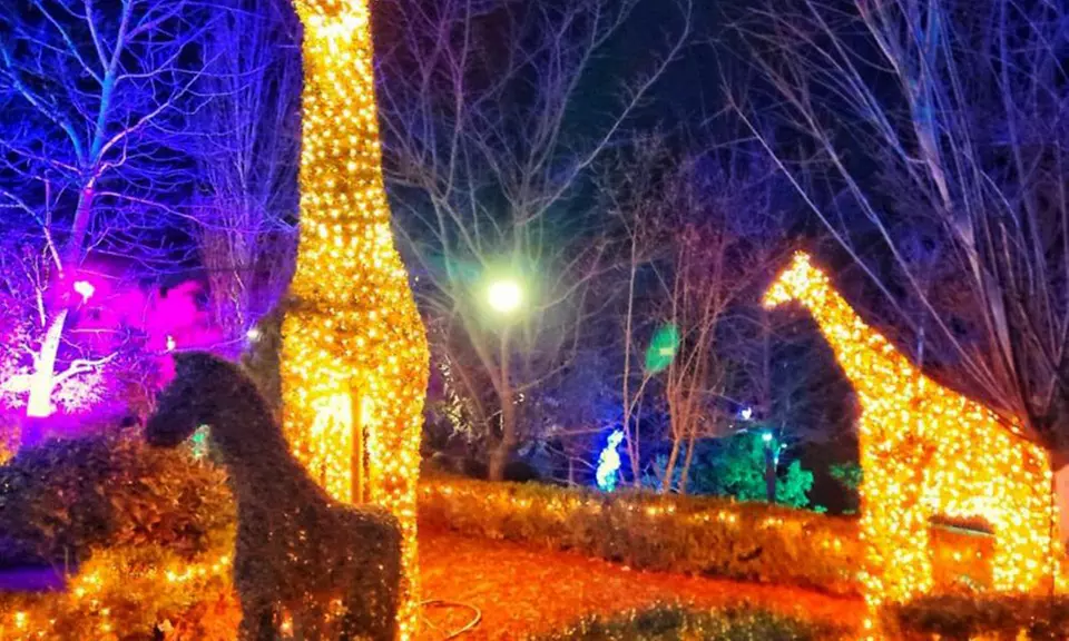Entrada para adulto, niño o packs familiares para El Bosque Encantado