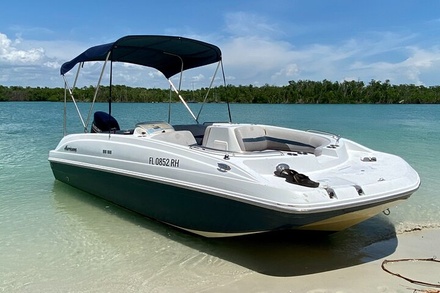 4-Hr Deck Boat Rental  - Pure Florida - Naples, FL