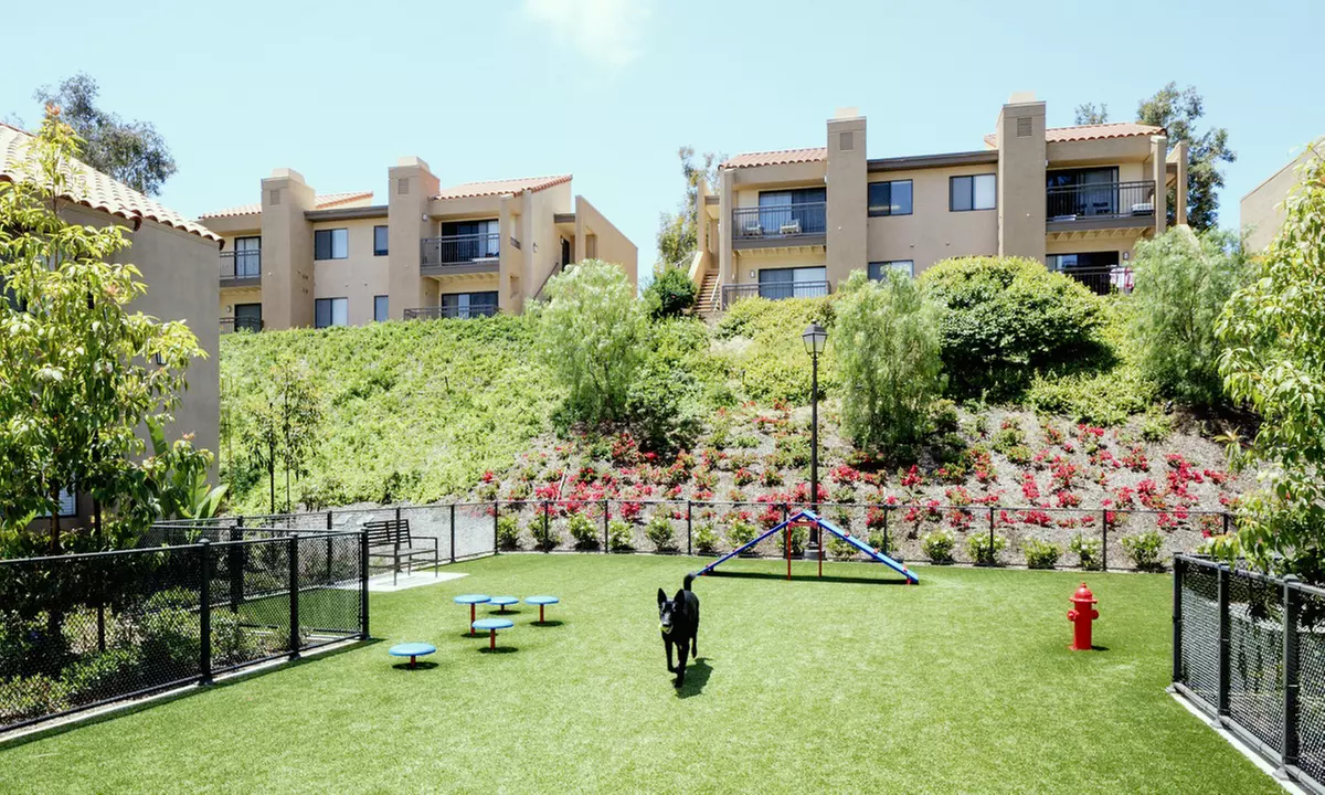 In-Person Consultation/Deep Cleaning: Pet Waste Removal +Sanitization