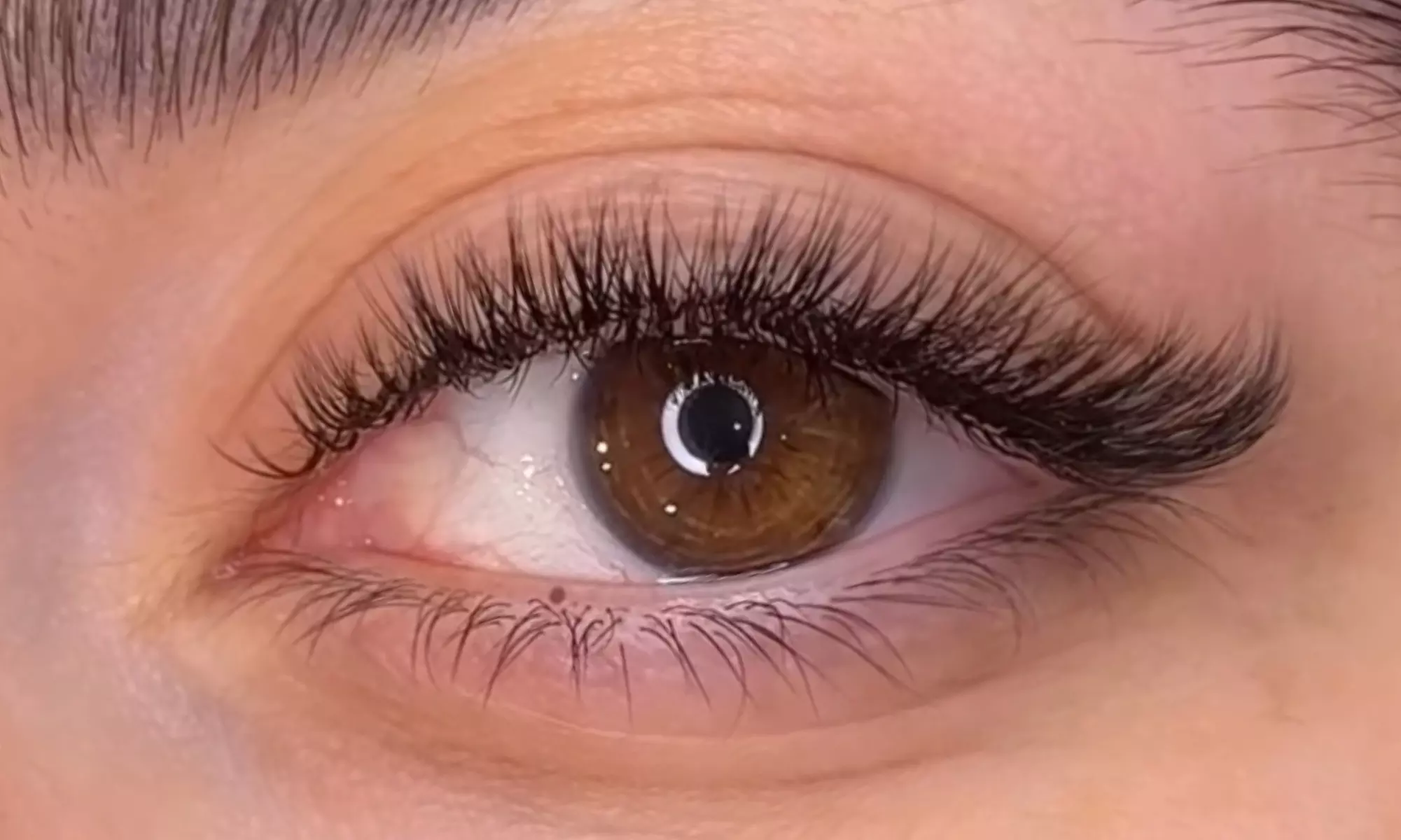 Glow Up with Classic or Volume Eyelash Extensions