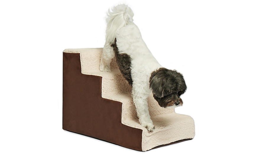 Homebase hotsell pet steps