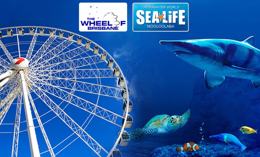 Image 3: Wheel of Brisbane + SEALIFE Combo