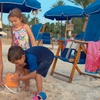 Image 8: Up to 23% Off Admission to Palm Beach at Moody Gardens
