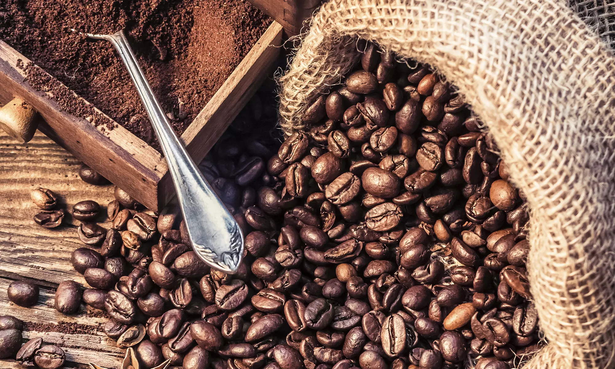 True Beans Kaffee-Probe-Abo inkl. Versand frei Haus von der Altstadt Rösterei Köln (50 €/kg)(34% sparen) - Primary Image