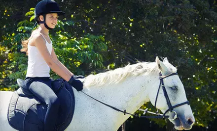 One, Three, or Five 60-Minute Group Horseback-Riding Lessons at Talbot Run Equestrian Center, LLC (Up to 56% Off) - Primary Image