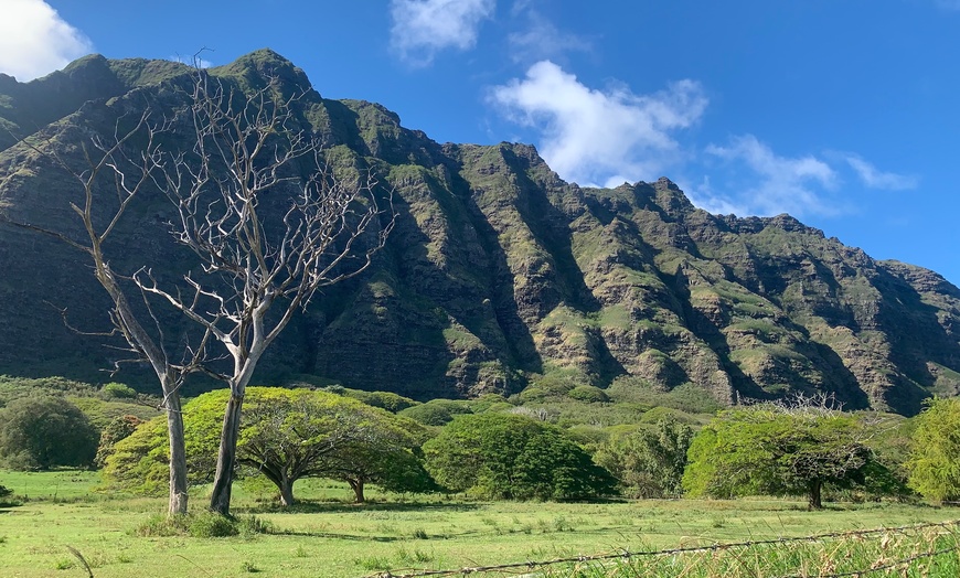 Image 4: Guided Oahu Tours – North Shore & Island Exploration for Two