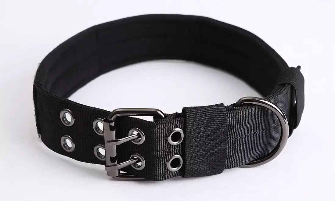 Magik US Tactical Nylon Dog Collar K9 Military Heavy Duty Metal Buckle