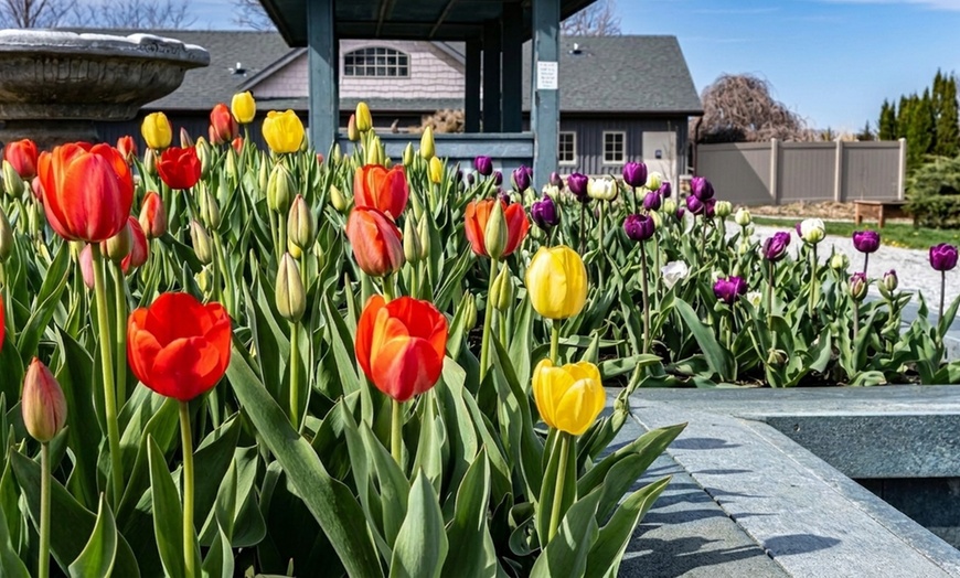 Image 4: General Admission to 40-Acre Arboretum & Botanic Gardens in Waterloo