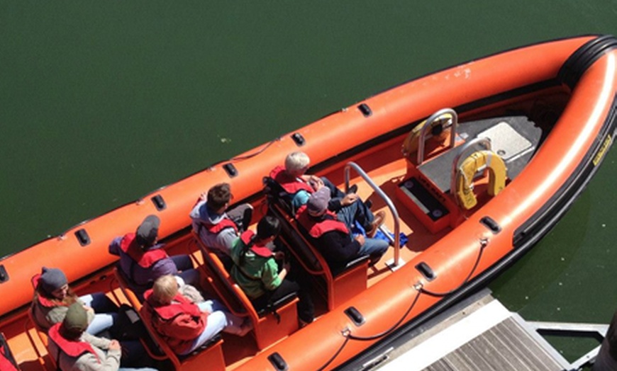 Image 3: Camel Estuary Powerboat Tour