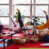 Image 9: 3 Tage Yoga-Retreat mit Verpflegung im Teutoburger Wald