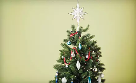 $65 for an Up to 8-Foot Christmas Tree with Delivery and Setup from Deliver A Tree To Me ($130 Value) - Primary Image