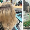 Image 7: Refresh Your Style with Haircut, Conditioning and Color Options
