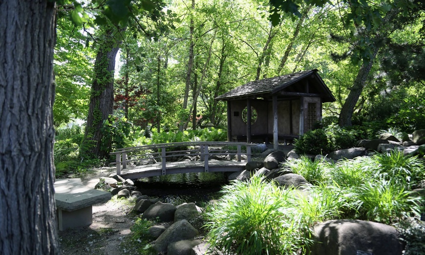 Image 4: Explore 20 Acres of Beauty & Fun at Rotary Botanical Gardens
