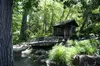 Explote 20 Acres of Vibrant Gardens at Rotary Botanical Gardens