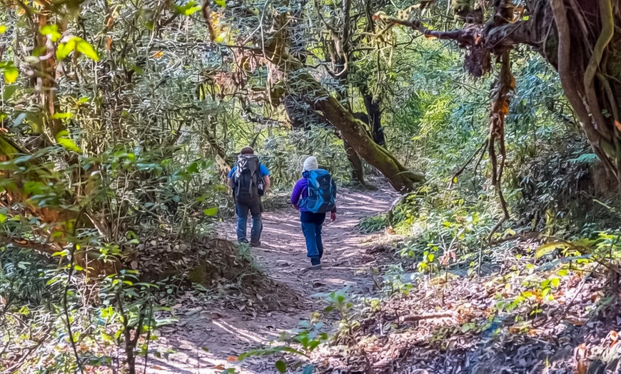 Image 5: Nepal: 6-Day Kathmandu Valley View & Cultural Trekking
