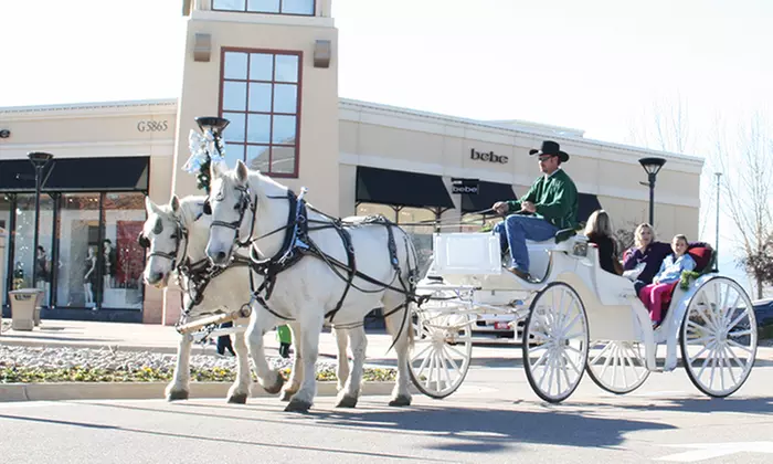 Horse-Drawn Wagon Ride for One or Carriage Ride for Two from Colorado Carriage and Wagon (Up to 55% Off) - Primary Image
