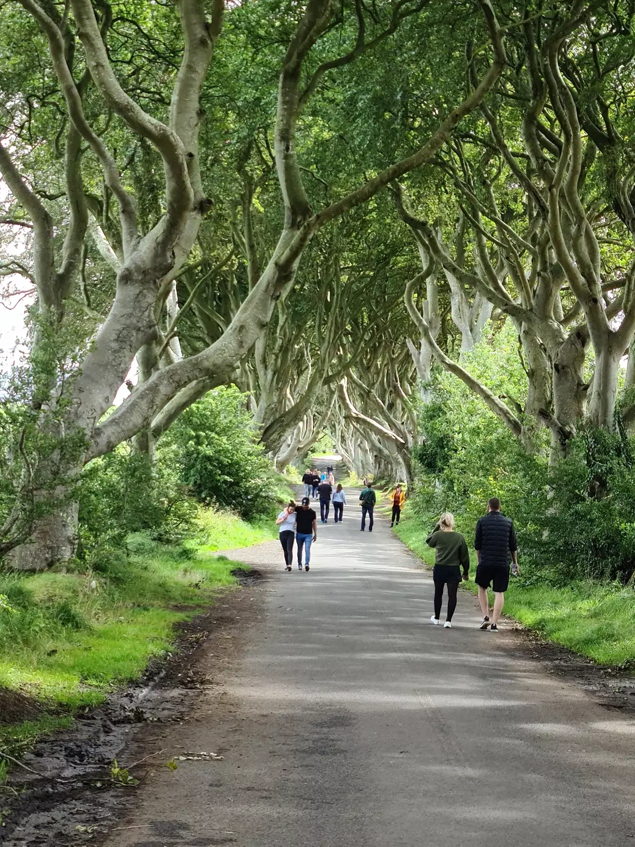 ✈ 6-Days: 2 Irelands - Ultimate Road Trip w/ Air & Car from Worldee