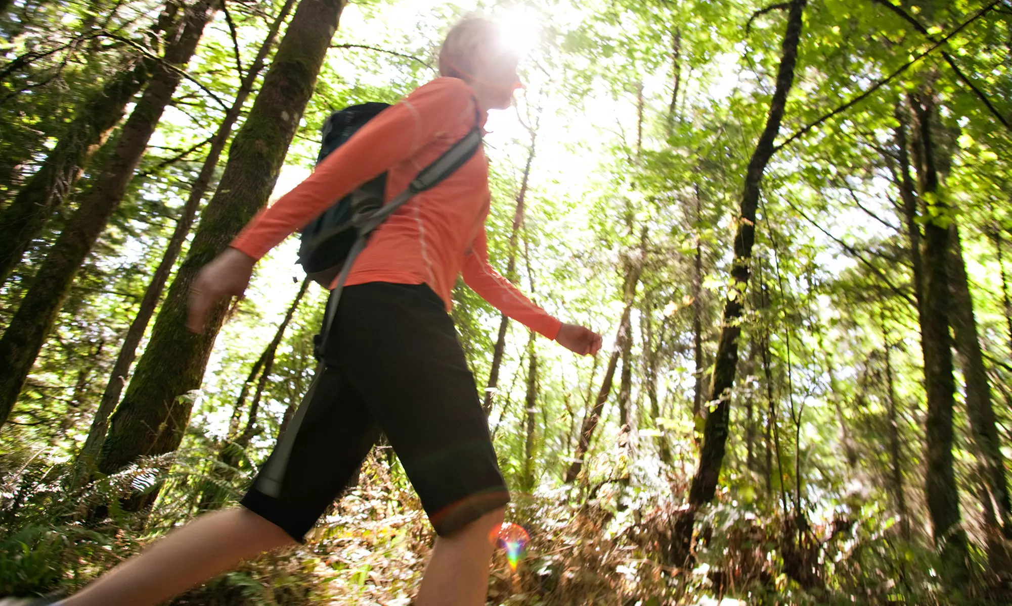 Hike and Wine Tasting for Two or Four with Light Lunch from Winery Journeys (Up to 54% Off) - Primary Image