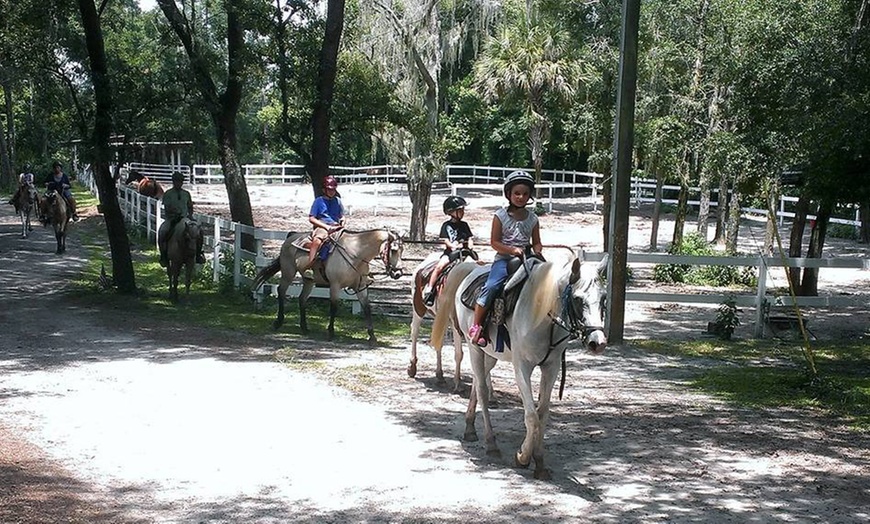 Image 3: Discover Scenic Trails on a Private Summer Sundown Trail 1 Hour Ride 