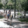 Image 3: Discover Scenic Trails on a Private Trail 1 Hour Ride 