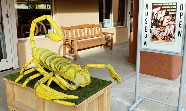 What to expect media