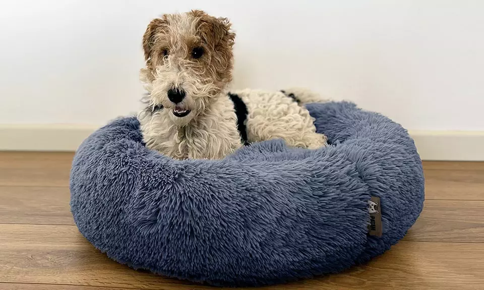 Cuccia extra-soffice per gatti e cani