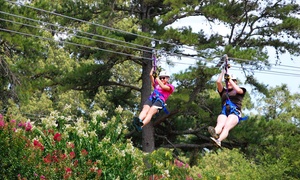 Up to 38% Off Ziplining