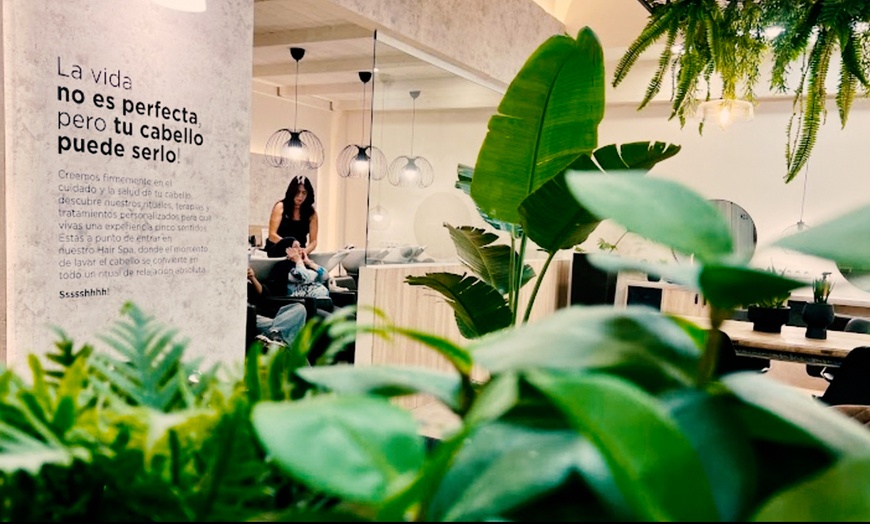 Image 9: Experiencia de spa capilar con opción a masaje, higiene facial y más 