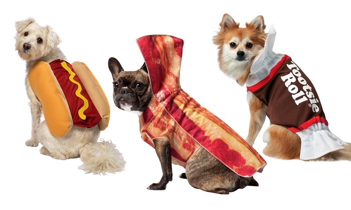 27+ Food Halloween Costumes For Dogs Photos