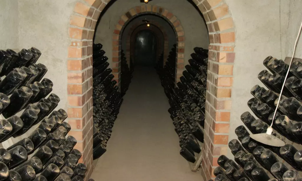 ¡Brindemos con cava! Visita guiada con cata de 4 cavas y maridaje