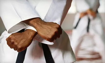 One, Two, or Three Months of Unlimited Classes at Goju Karate Academy (Up to 90% Off) - Primary Image