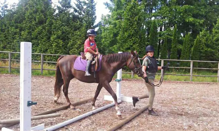 One, Two, or Four 60-Minute Horseback-Riding Lessons at Cambridge Stables (Up to 58% Off) - Primary Image
