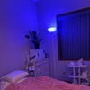 Image 3: 60-Minute Swedish Massage with Hot Towels and Mini or Full Facial