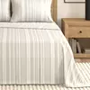 Light Grey Stripe