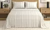 Soft Stripe Printed Microfiber Bed Sheet Set